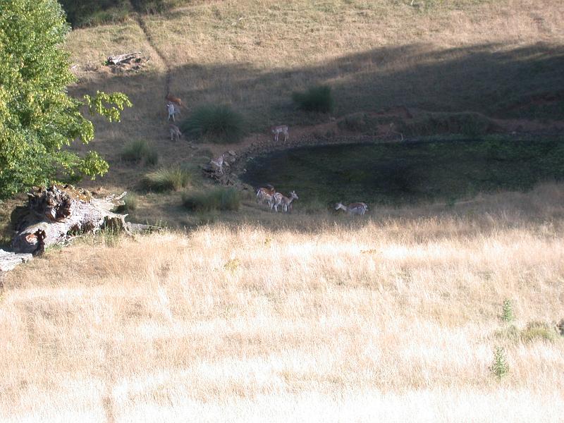 DSCN2507