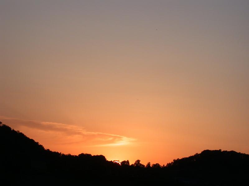DSCN2550