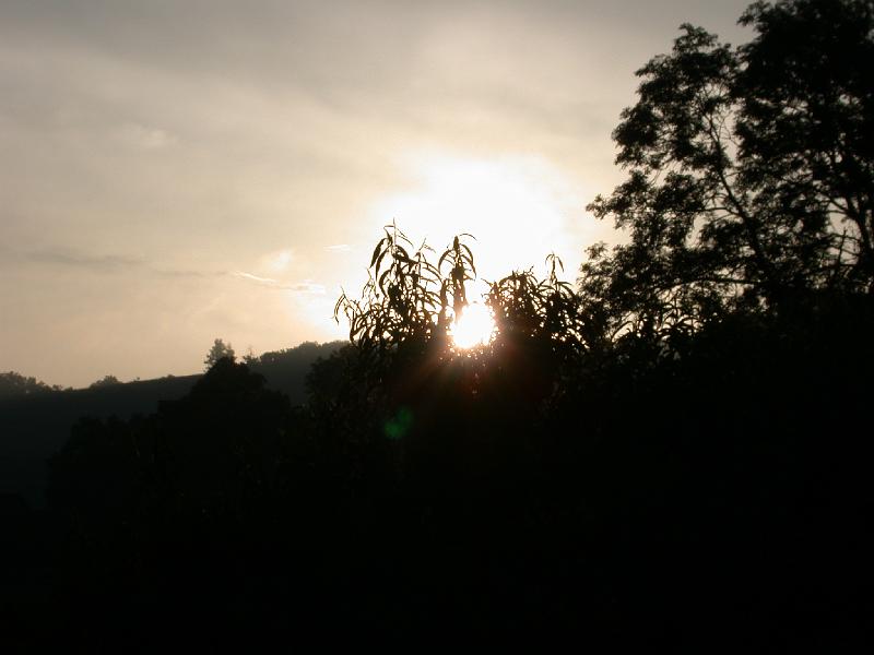 DSCN9654