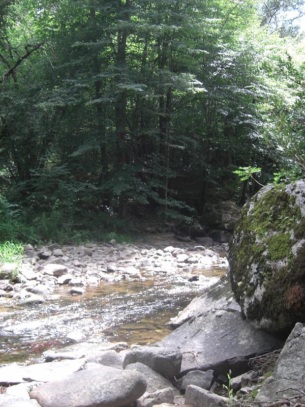 CIMG0291