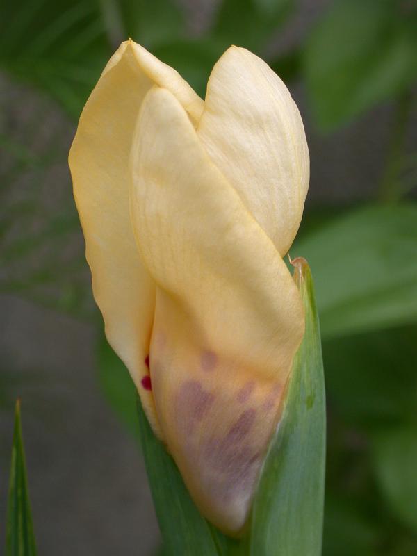 DSCN6257