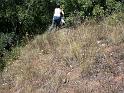 DSCN6167