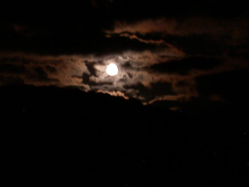 DSCN6077