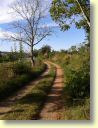 20130815_183523.jpg