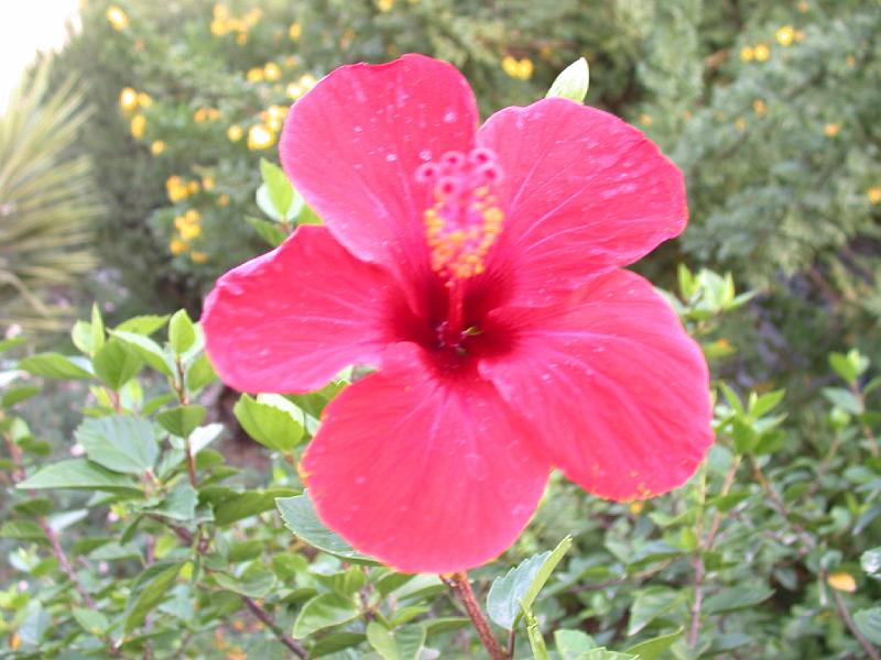 DSCN0168