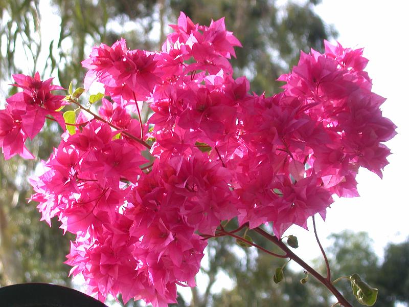 DSCN0304