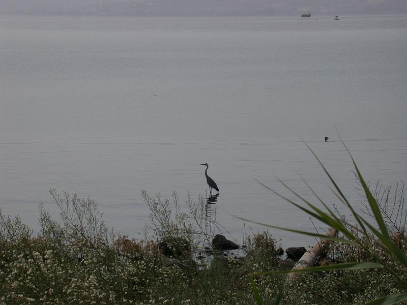 DSCN0332