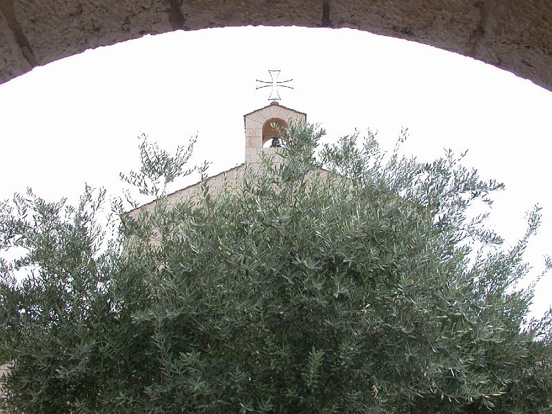 DSCN0337