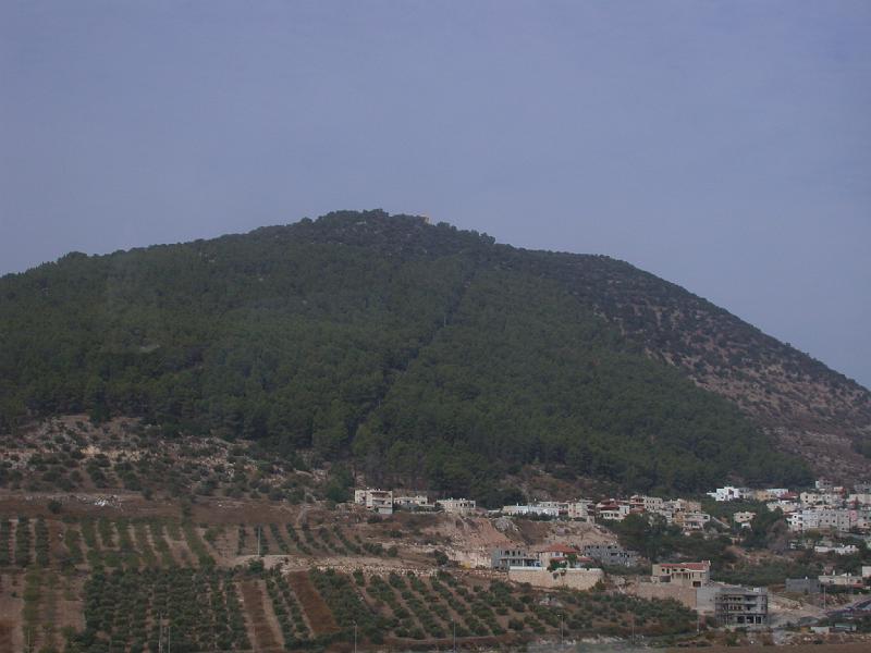 DSCN0424