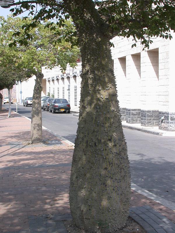 DSCN0472