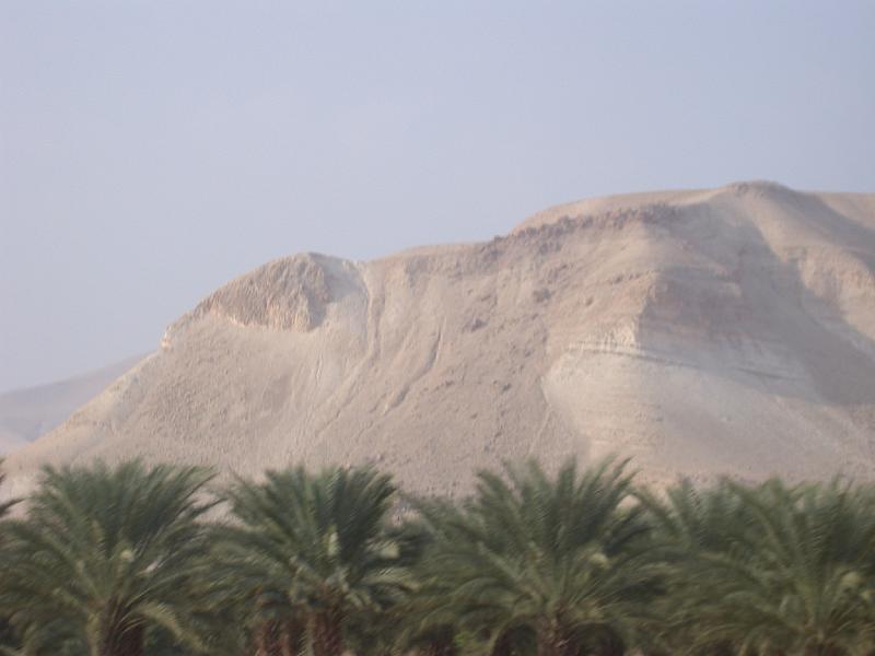 DSCN0480