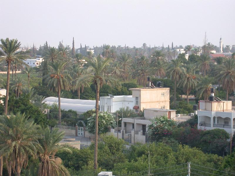 DSCN0484