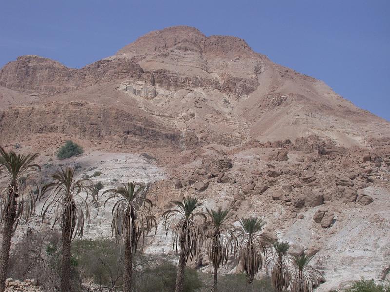 Dsck0170e