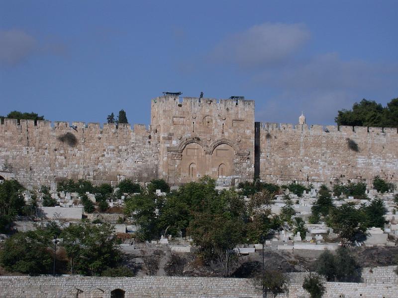 Dsco0601