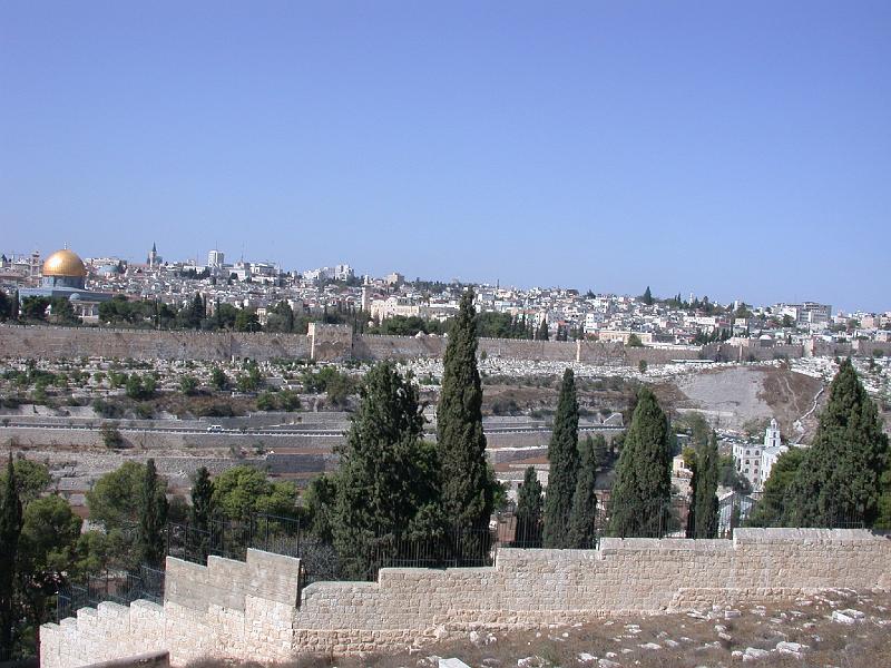 Dsco0695