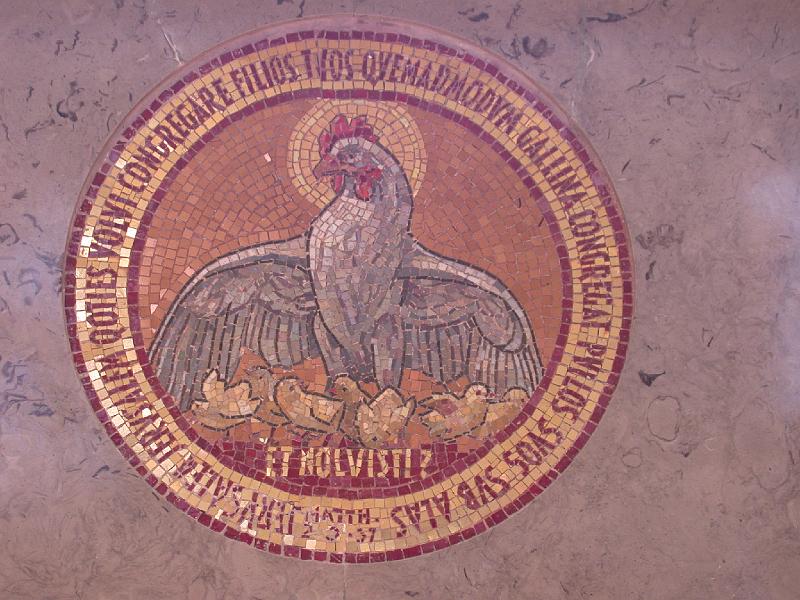 Dsco0707
