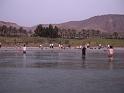 DSCN0244