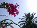 DSCN0296